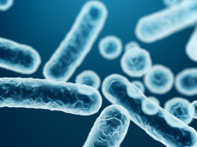 3D-Darstellung stäbchenförmiger Bakterien aus der Familie der Enterobacteriaceae (Darmbakterien)